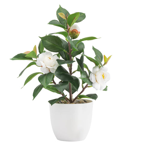 Rose Potted 11h" Faux Flowering Plant - White