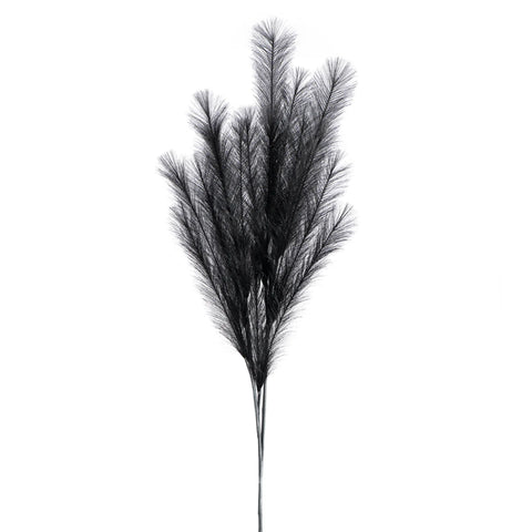 Desert Feather Pampas Stem - Black