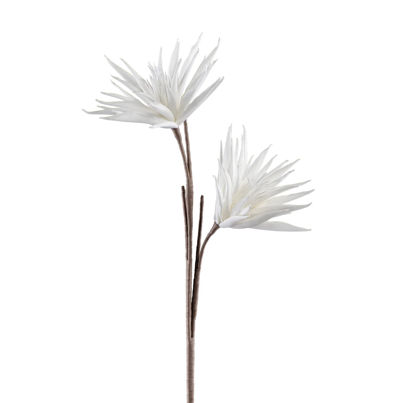 Desert Two Bloom Cactus Flower 37" Stem - White