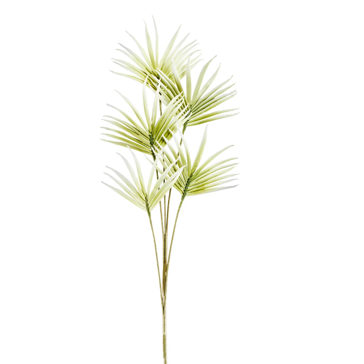 Desert Five Bloom Fan Flower 43