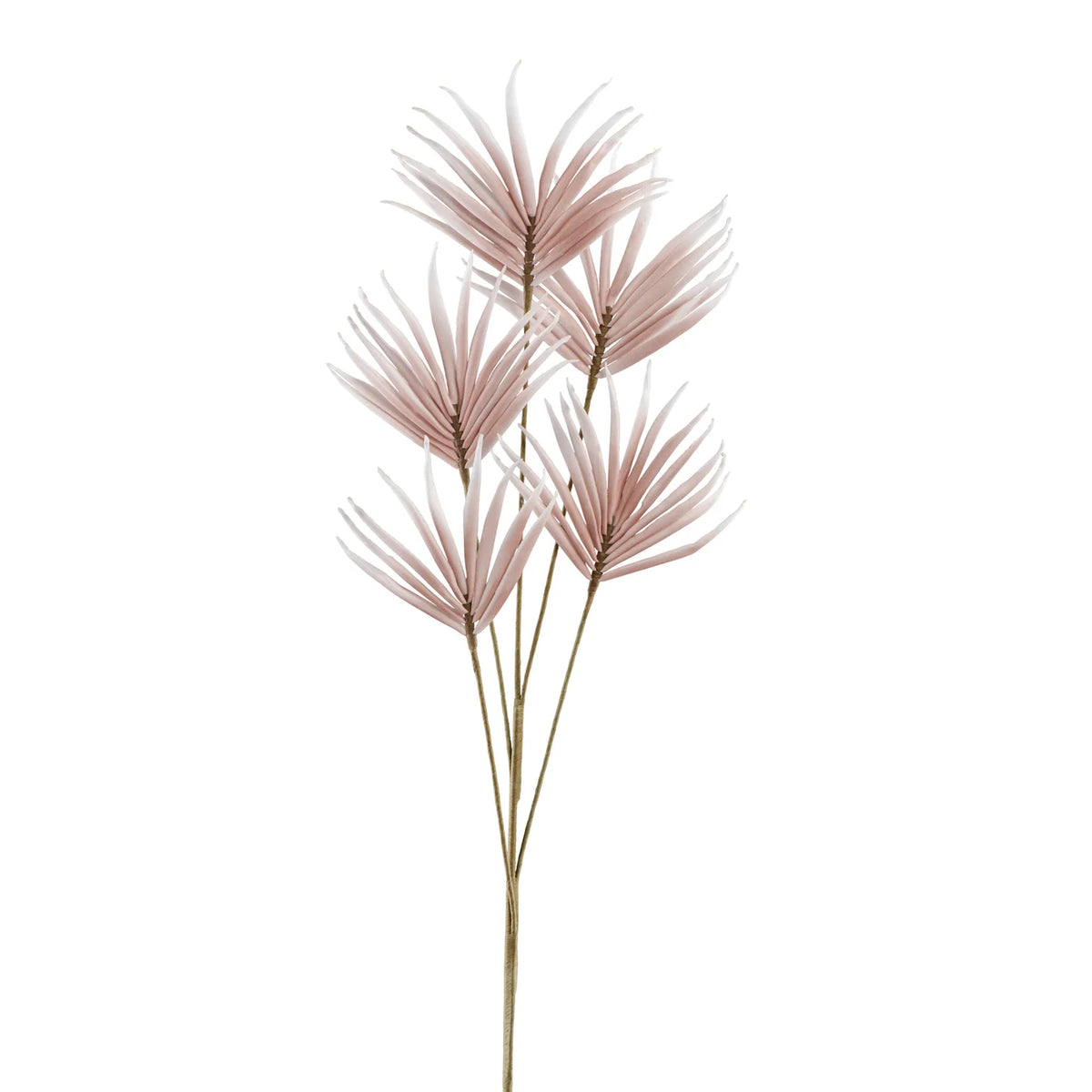 Desert Five Bloom Fan Flower 43