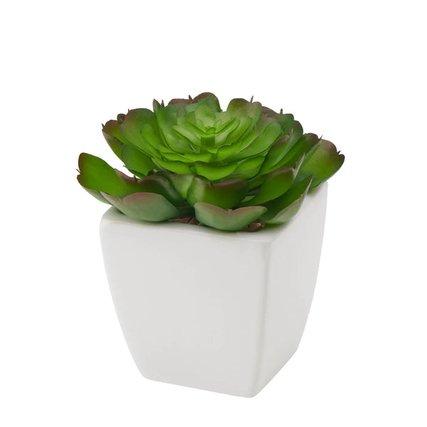 Tapered Mini Faux Succulent Potted Plant - Echeveria