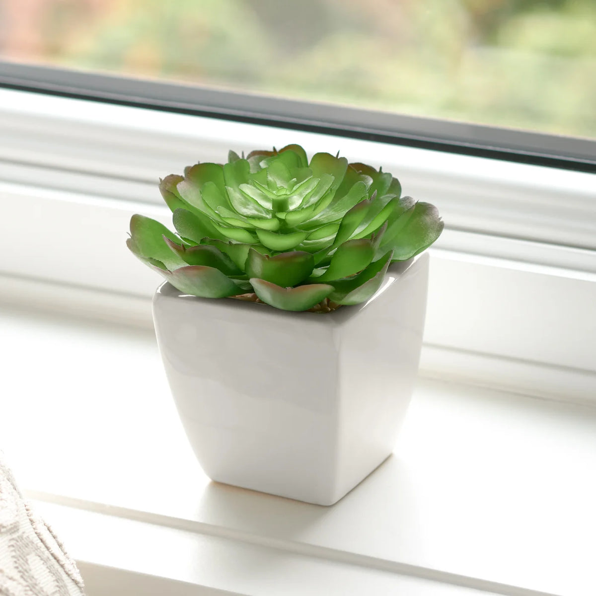 Tapered Mini Faux Succulent Potted Plant - Echeveria