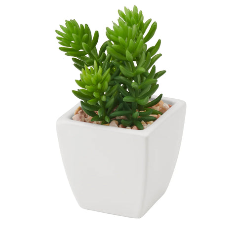 Tapered Mini Faux Succulent Potted Plant - Jellybean