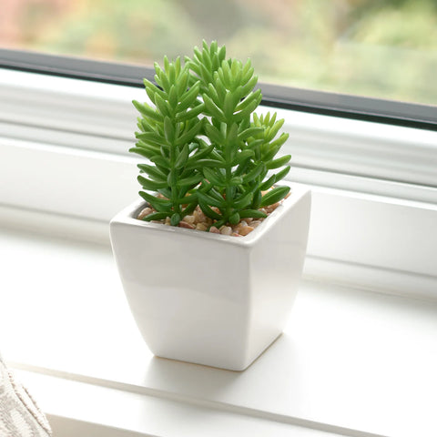 Tapered Mini Faux Succulent Potted Plant - Jellybean