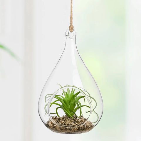 Hanging Glass 5h" Teardrop Potted Faux Succulent - Air Plant