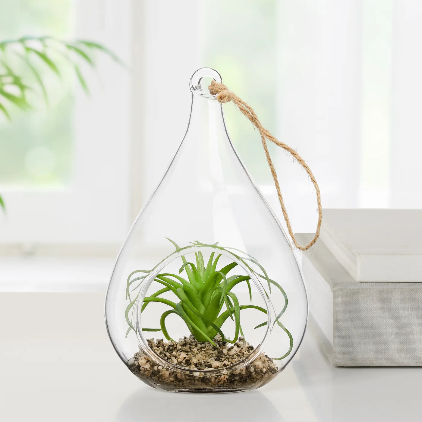 Hanging Glass 5h" Teardrop Potted Faux Succulent - Air Plant