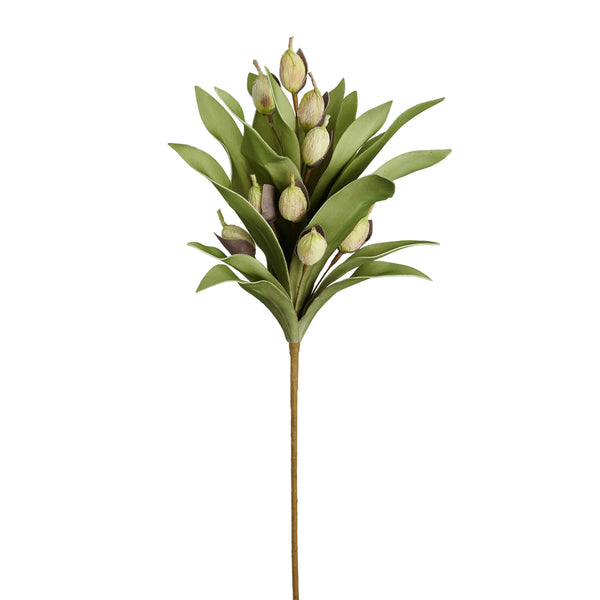 Desert Pod Succulent 39" Stem