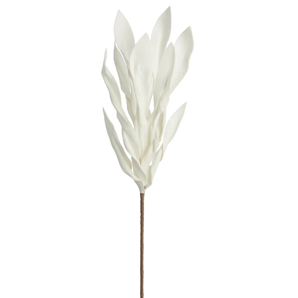 Desert Broad Leaf Flame Grass 38" Stem - Antique White
