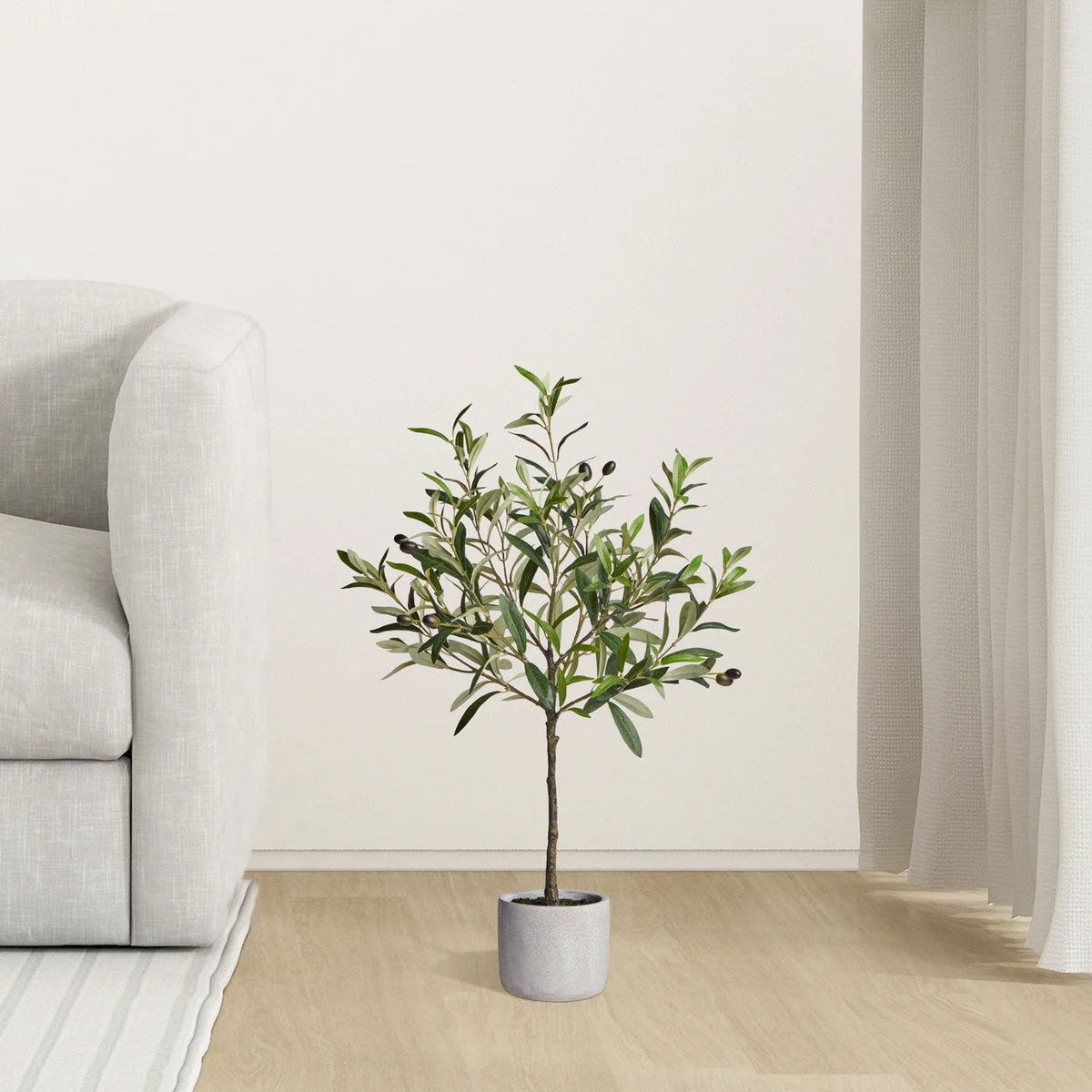 Olive Tree 28h