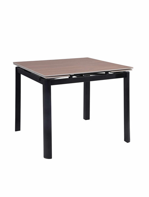 Larze Extendable Dining Table