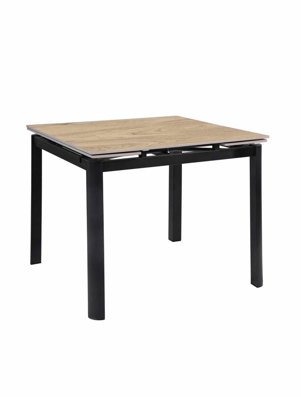 Larze Extendable Dining Table