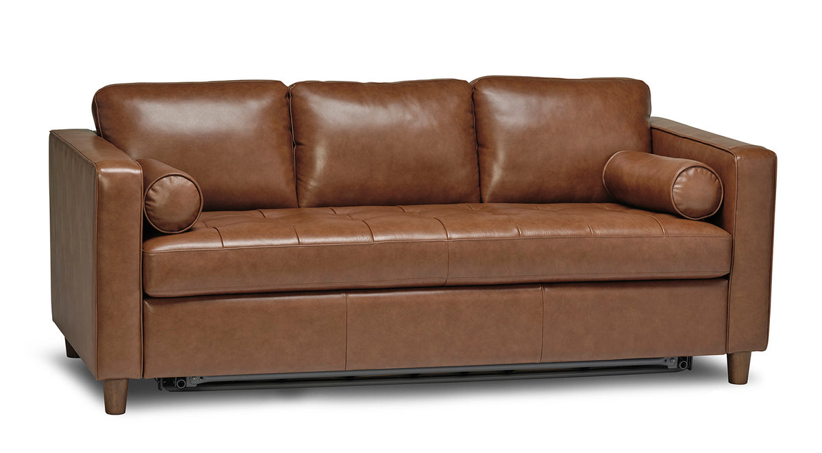 Notion Queen Sofa Bed