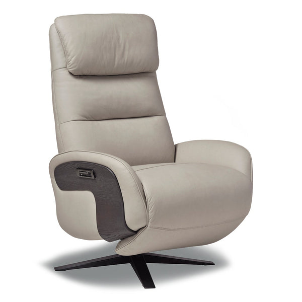 Logic Leather Power Recliner