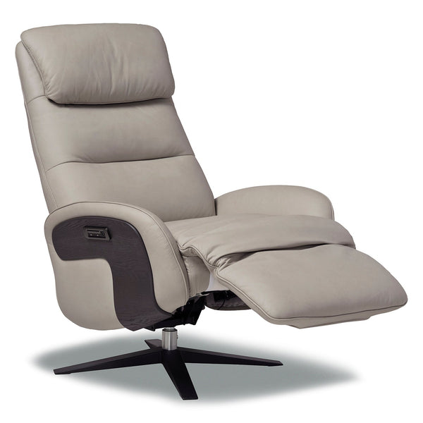 Logic Leather Power Recliner