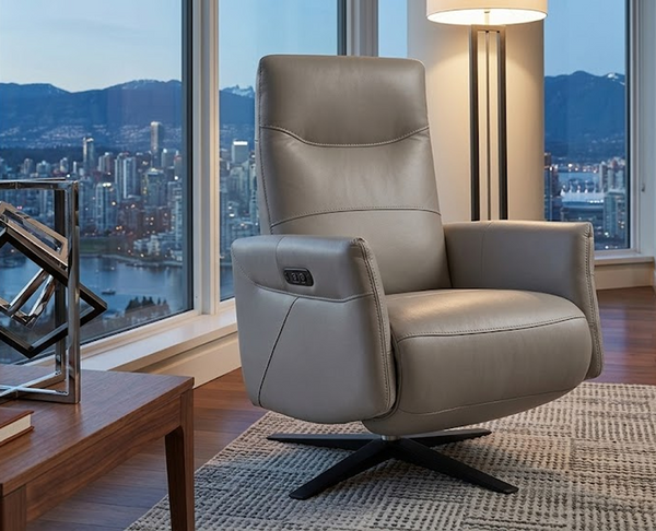Star Leather Recliner
