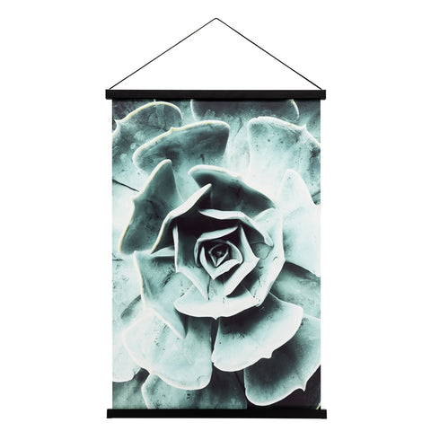Miko Hanging Printed Canvas Rolled Wall Art - Succulent