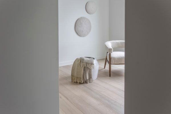 Sand Dollar - Medium