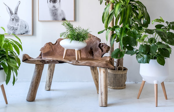 Natura Dian Bench