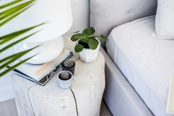 Nova Stump Wide - 21