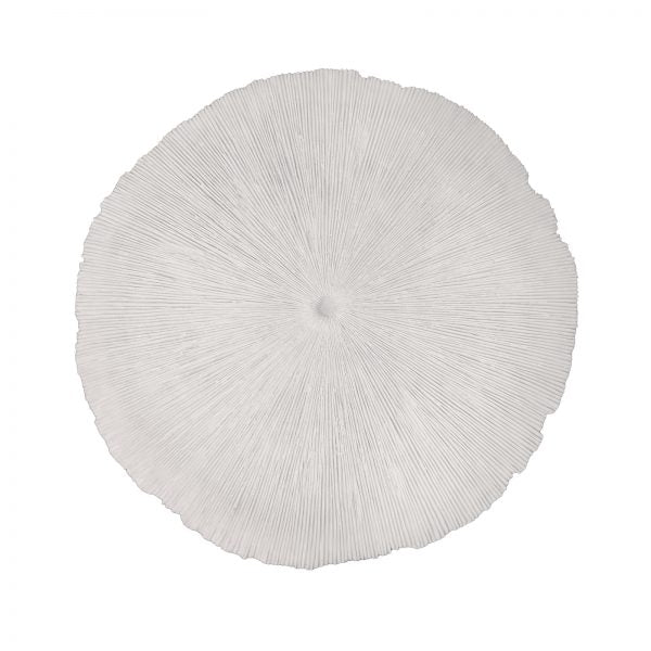 Sand Dollar - Large
